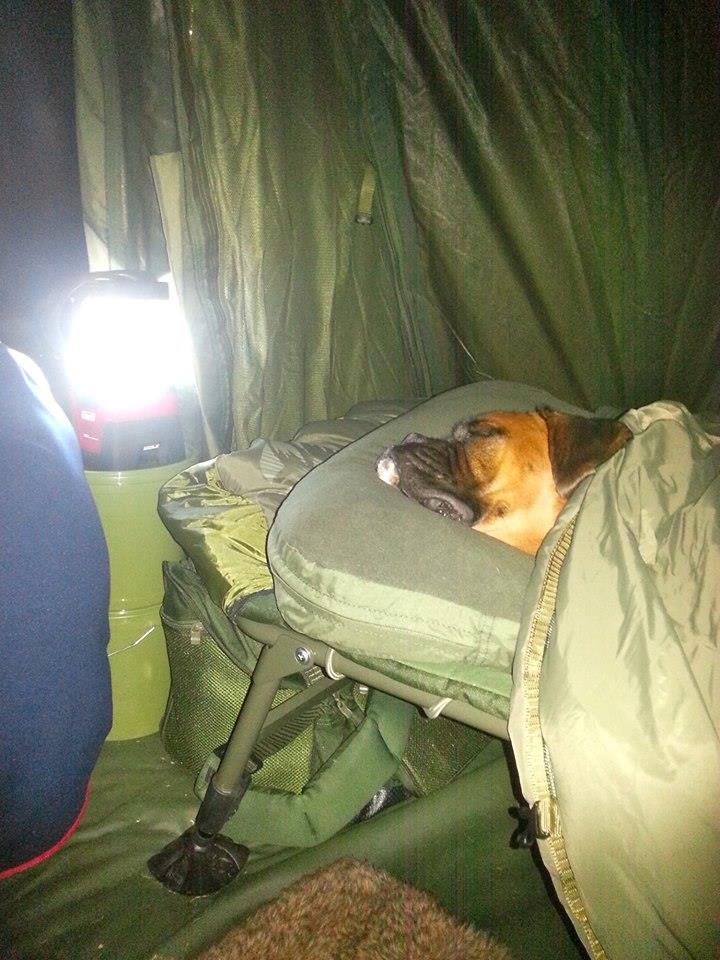 haioase - confort nu gluma!